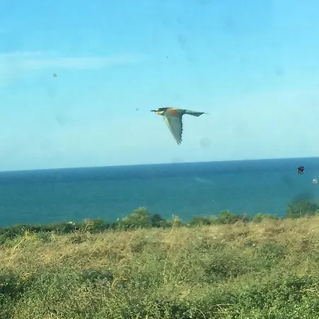 مزرعة للإقامة La Costa Dei Trabocchi تورينو دي سانغرو