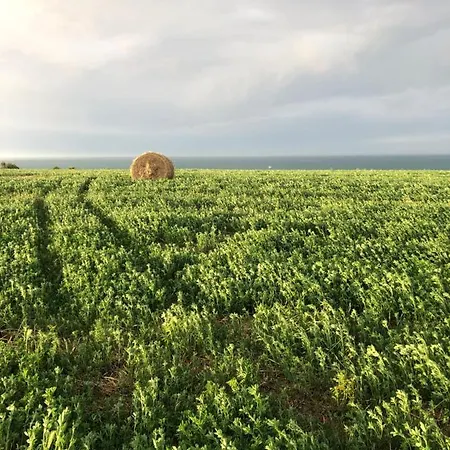 La Costa Dei Trabocchi Farm stay Torino di Sangro