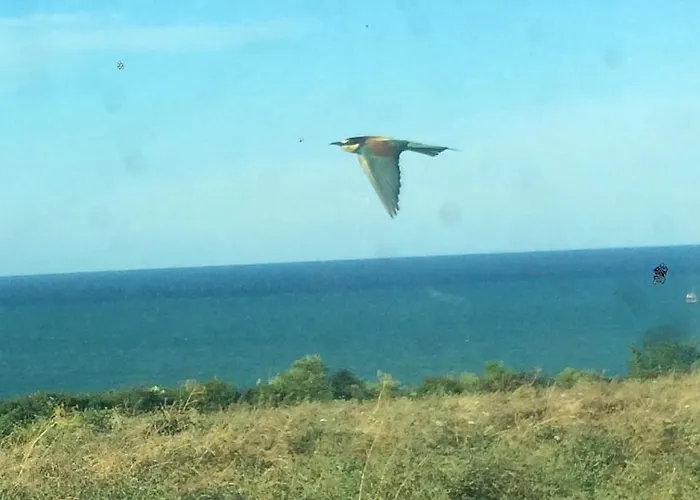 Фермерский дом La Costa Dei Trabocchi Торино-ди-Сангро