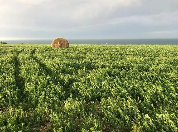 La Costa Dei Trabocchi Alojamento de Turismo Rural Torino di Sangro